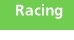 racing.jpg (2330 bytes)